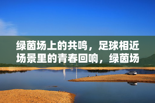 绿茵场上的共鸣，足球相近场景里的青春回响，绿茵场上的共鸣，足球相近场景里的青春回响