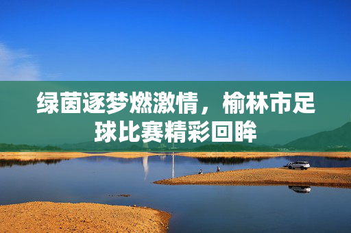 绿茵逐梦燃激情，榆林市足球比赛精彩回眸