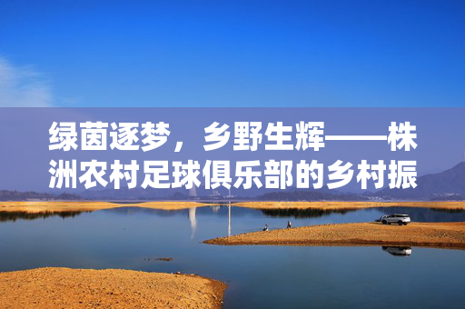 绿茵逐梦，乡野生辉——株洲农村足球俱乐部的乡村振兴实践