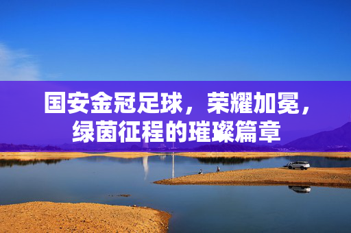 国安金冠足球，荣耀加冕，绿茵征程的璀璨篇章