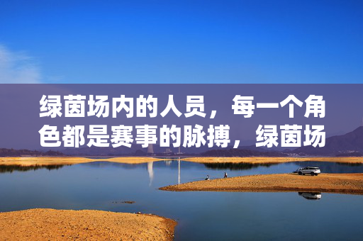 绿茵场内的人员，每一个角色都是赛事的脉搏，绿茵场内，每一个角色都是赛事的脉搏