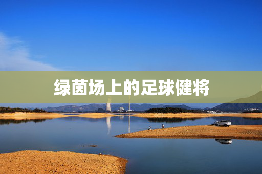 绿茵场上的足球健将