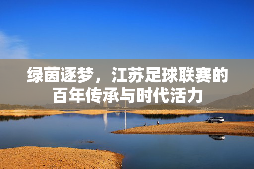 绿茵逐梦，江苏足球联赛的百年传承与时代活力