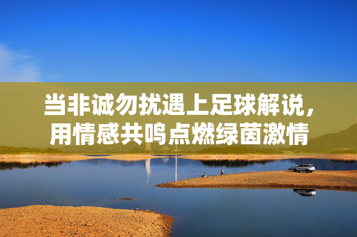当非诚勿扰遇上足球解说，用情感共鸣点燃绿茵激情