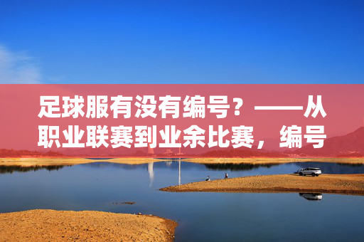 足球服有没有编号？——从职业联赛到业余比赛，编号的奥秘与作用，足球服有没有编号？——从职业联赛到业余比赛，编号的奥秘与作用
