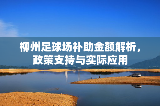 柳州足球场补助金额解析，政策支持与实际应用