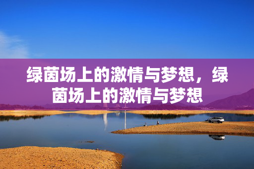 绿茵场上的激情与梦想，绿茵场上的激情与梦想