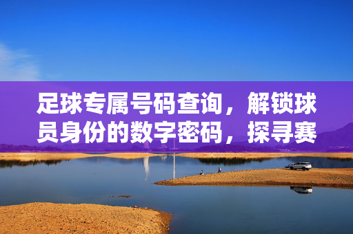 足球专属号码查询，解锁球员身份的数字密码，探寻赛场背后的故事