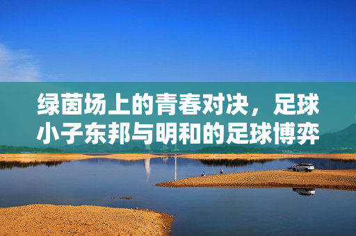 绿茵场上的青春对决，足球小子东邦与明和的足球博弈
