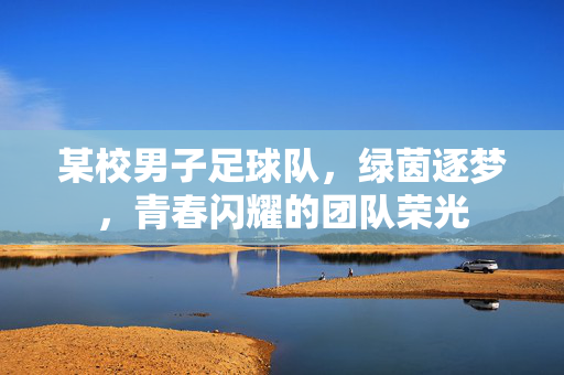 某校男子足球队，绿茵逐梦，青春闪耀的团队荣光
