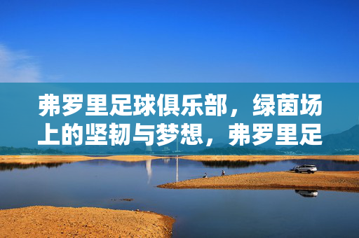 弗罗里足球俱乐部，绿茵场上的坚韧与梦想，弗罗里足球俱乐部，绿茵场上的坚韧与梦想