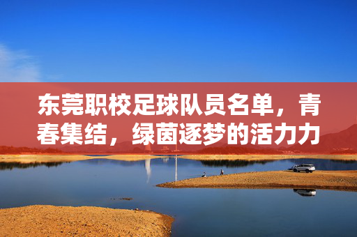 东莞职校足球队员名单，青春集结，绿茵逐梦的活力力量