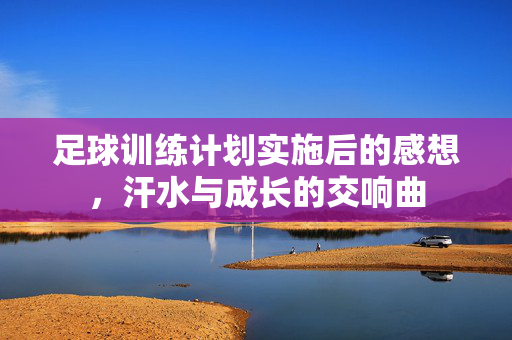 足球训练计划实施后的感想，汗水与成长的交响曲