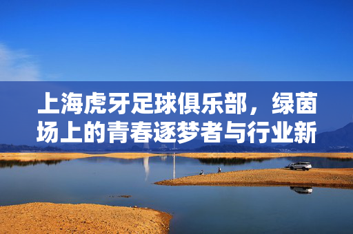 上海虎牙足球俱乐部，绿茵场上的青春逐梦者与行业新声，上海虎牙足球俱乐部，绿茵场上的青春逐梦者与行业新声
