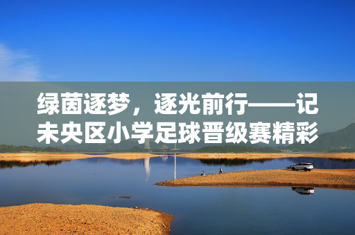 绿茵逐梦，逐光前行——记未央区小学足球晋级赛精彩瞬间