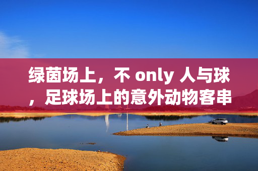 绿茵场上，不 only 人与球，足球场上的意外动物客串者，绿茵场上，不止人与球，足球场上的意外动物客串者