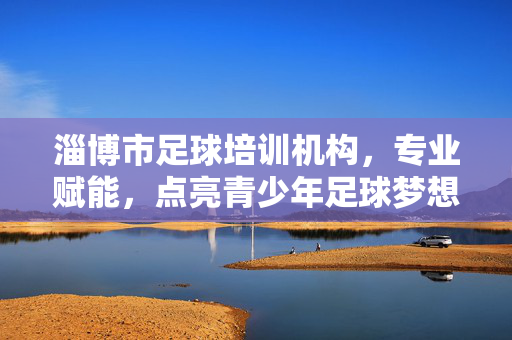 淄博市足球培训机构，专业赋能，点亮青少年足球梦想的摇篮