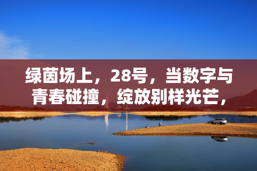 绿茵场上，28号，当数字与青春碰撞，绽放别样光芒，绿茵场上28号，数字与青春的别样绽放