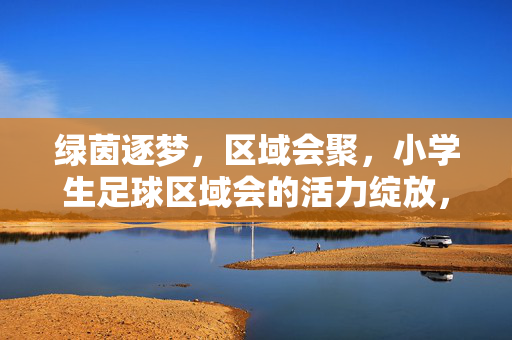 绿茵逐梦，区域会聚，小学生足球区域会的活力绽放，绿茵逐梦，区域会聚，小学生足球区域会活力绽放