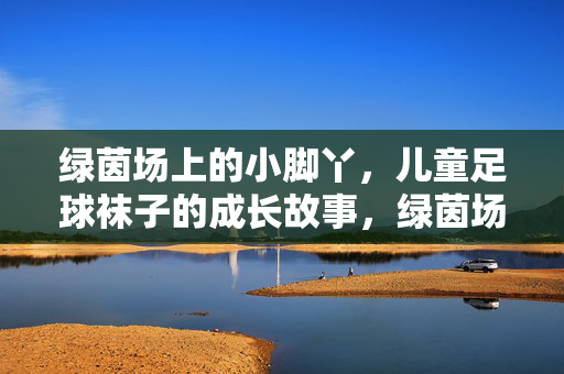 绿茵场上的小脚丫，儿童足球袜子的成长故事，绿茵场上的小脚丫，儿童足球袜子的成长故事