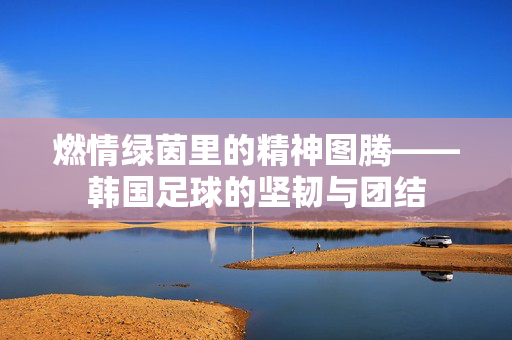 燃情绿茵里的精神图腾——韩国足球的坚韧与团结
