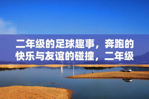 二年级的足球趣事，奔跑的快乐与友谊的碰撞，二年级足球趣事，奔跑的快乐与友谊的碰撞