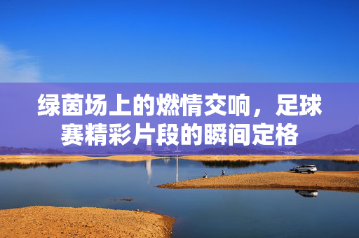 绿茵场上的燃情交响，足球赛精彩片段的瞬间定格
