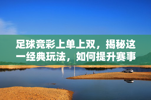 足球竞彩上单上双，揭秘这一经典玩法，如何提升赛事预测的胜率