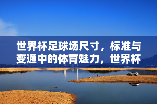 世界杯足球场尺寸，标准与变通中的体育魅力，世界杯足球场尺寸，标准与变通中的体育魅力