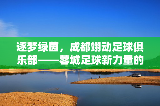 逐梦绿茵，成都翊动足球俱乐部——蓉城足球新力量的崛起之路，逐梦绿茵，成都翊动足球俱乐部——蓉城足球新力量的崛起之路