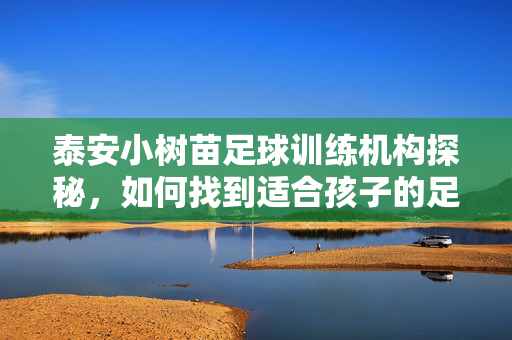 泰安小树苗足球训练机构探秘，如何找到适合孩子的足球启蒙之地？