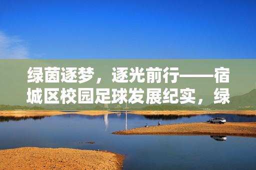绿茵逐梦，逐光前行——宿城区校园足球发展纪实，绿茵逐梦，逐光前行——宿城区校园足球发展纪实