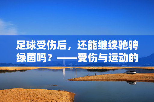 足球受伤后，还能继续驰骋绿茵吗？——受伤与运动的平衡之道，足球受伤后，还能继续驰骋绿茵吗？——受伤与运动的平衡之道