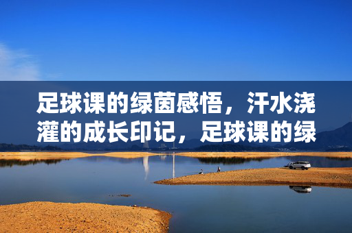 足球课的绿茵感悟，汗水浇灌的成长印记，足球课的绿茵感悟，汗水浇灌的成长印记