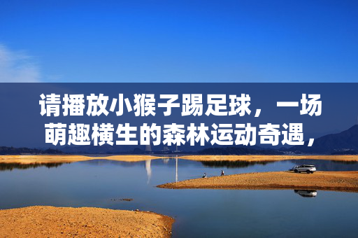 请播放小猴子踢足球，一场萌趣横生的森林运动奇遇，小猴子踢足球，一场萌趣横生的森林运动奇遇