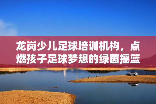 龙岗少儿足球培训机构，点燃孩子足球梦想的绿茵摇篮，龙岗少儿足球培训机构，点燃孩子足球梦想的绿茵摇篮
