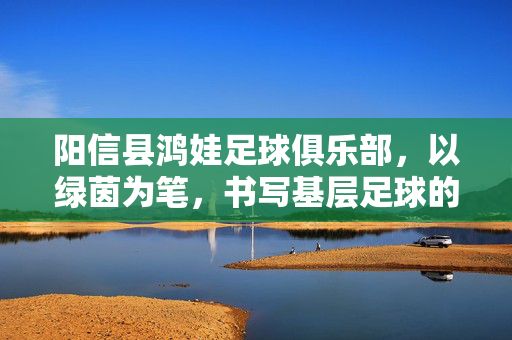 阳信县鸿娃足球俱乐部，以绿茵为笔，书写基层足球的青春华章，阳信县鸿娃足球俱乐部，以绿茵为笔 书写基层足球的青春华章
