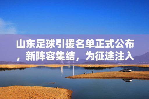山东足球引援名单正式公布，新阵容集结，为征途注入新动能，山东足球引援名单正式公布，新阵容集结，为征途注入新动能