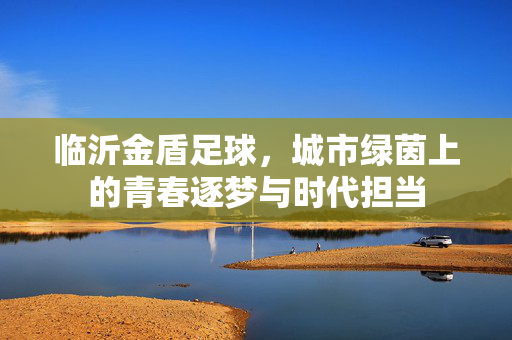 临沂金盾足球，城市绿茵上的青春逐梦与时代担当
