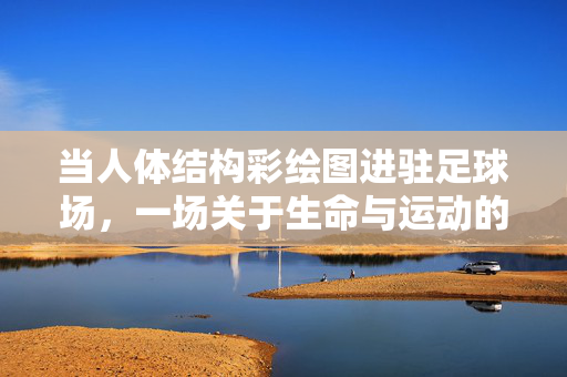 当人体结构彩绘图进驻足球场，一场关于生命与运动的视觉交响，当人体结构彩绘图进驻足球场，一场关于生命与运动的视觉交响