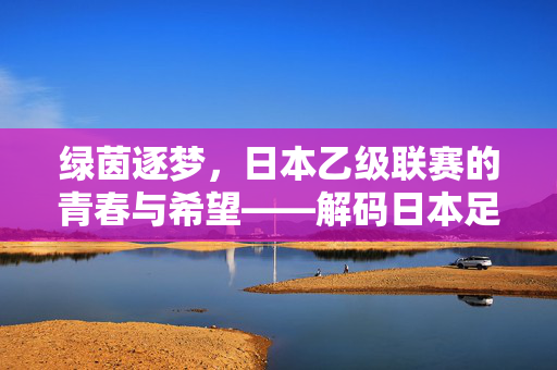 绿茵逐梦，日本乙级联赛的青春与希望——解码日本足球的第二梯队崛起密码，绿茵逐梦，日本乙级联赛的青春与希望——解码日本足球的第二梯队崛起密码