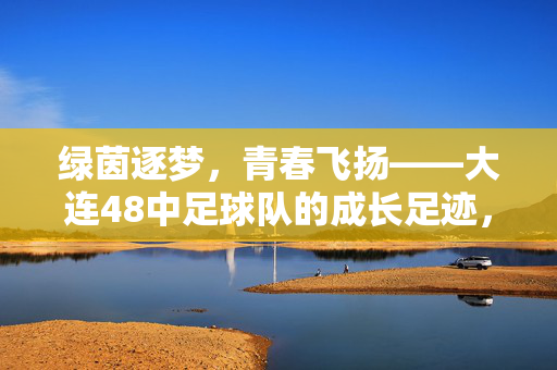 绿茵逐梦，青春飞扬——大连48中足球队的成长足迹，绿茵逐梦，青春飞扬——大连48中足球队的成长足迹