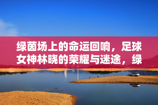 绿茵场上的命运回响，足球女神林晓的荣耀与迷途，绿茵场上的命运回响，足球女神林晓的荣耀与迷途