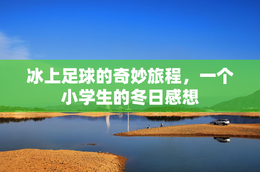 冰上足球的奇妙旅程，一个小学生的冬日感想