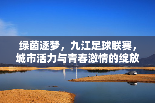 绿茵逐梦，九江足球联赛，城市活力与青春激情的绽放