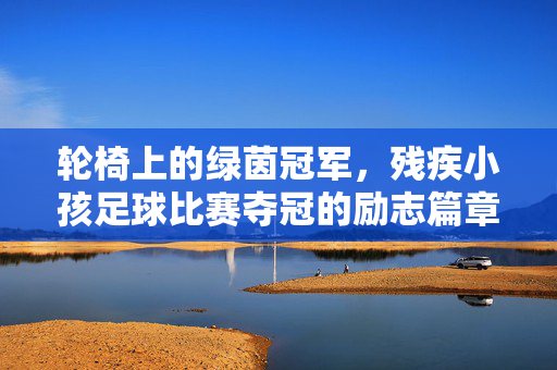 轮椅上的绿茵冠军，残疾小孩足球比赛夺冠的励志篇章