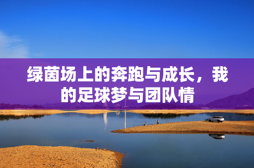 绿茵场上的奔跑与成长，我的足球梦与团队情