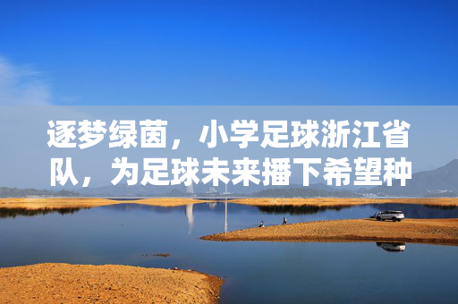 逐梦绿茵，小学足球浙江省队，为足球未来播下希望种子