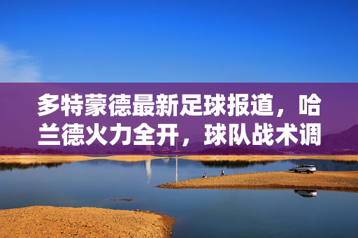多特蒙德最新足球报道，哈兰德火力全开，球队战术调整与引援计划成焦点