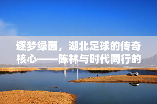 逐梦绿茵，湖北足球的传奇核心——陈林与时代同行的坚守与传承